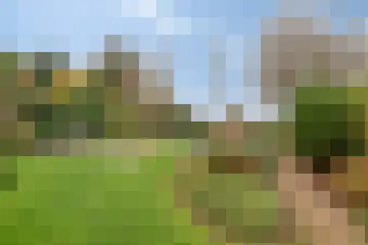 Grevelingenhout 173 Bruinisse thumbnail 38