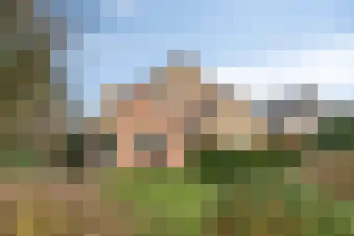 Grevelingenhout 173 Bruinisse thumbnail 4