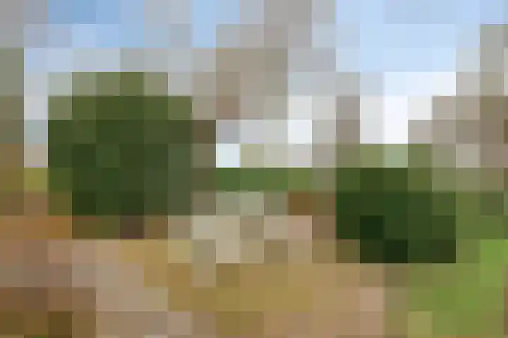 Grevelingenhout 173 Bruinisse thumbnail 40
