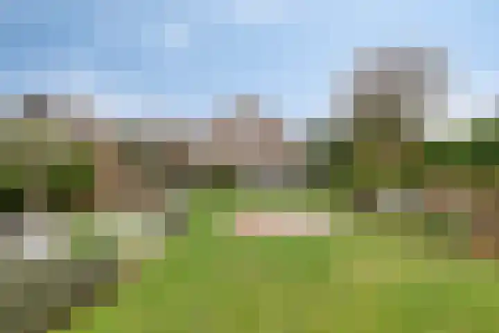 Grevelingenhout 173 Bruinisse thumbnail 41