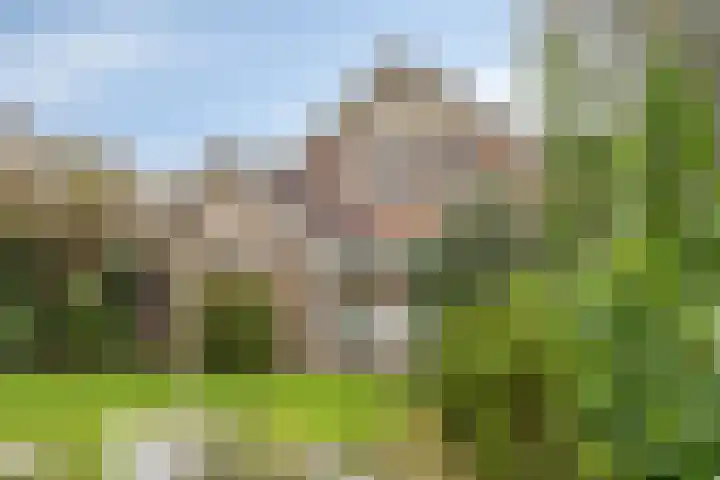 Grevelingenhout 173 Bruinisse thumbnail 42