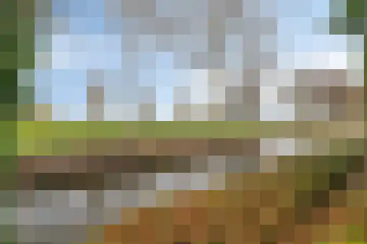 Grevelingenhout 173 Bruinisse thumbnail 43