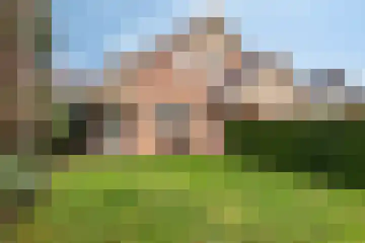 Grevelingenhout 173 Bruinisse thumbnail 5