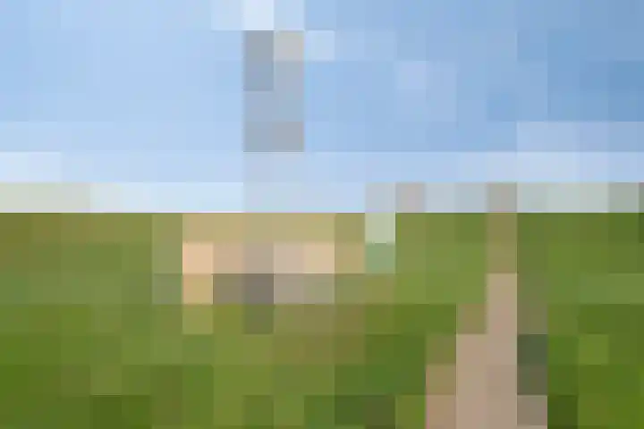Grevelingenhout 173 Bruinisse thumbnail 50