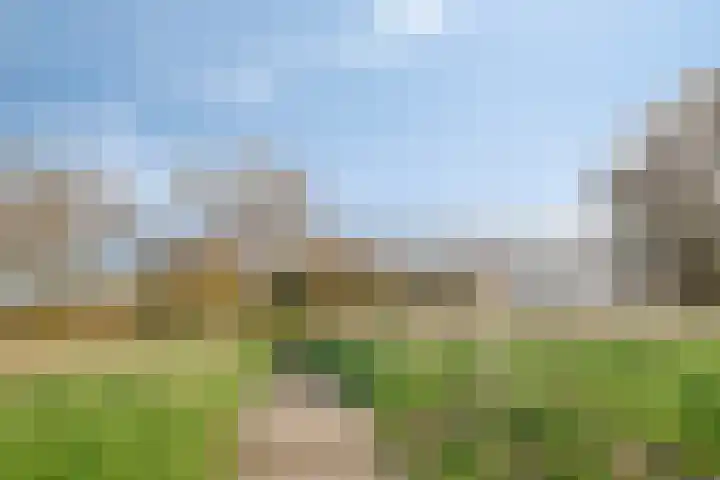 Grevelingenhout 173 Bruinisse thumbnail 52
