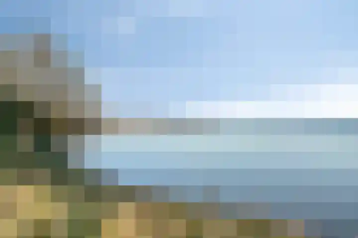 Grevelingenhout 173 Bruinisse thumbnail 53