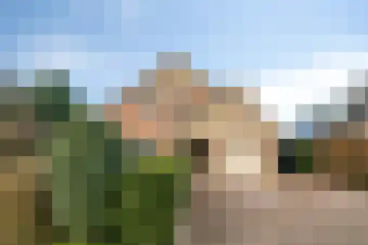 Grevelingenhout 173 Bruinisse thumbnail 6
