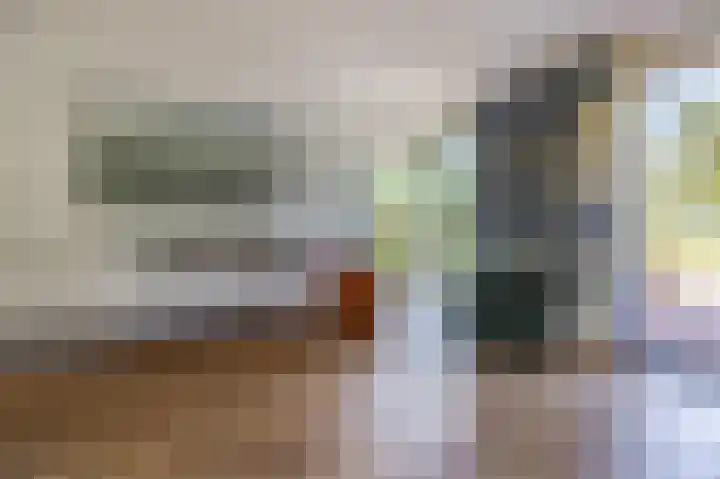 Grevelingenhout 176 Bruinisse thumbnail 11