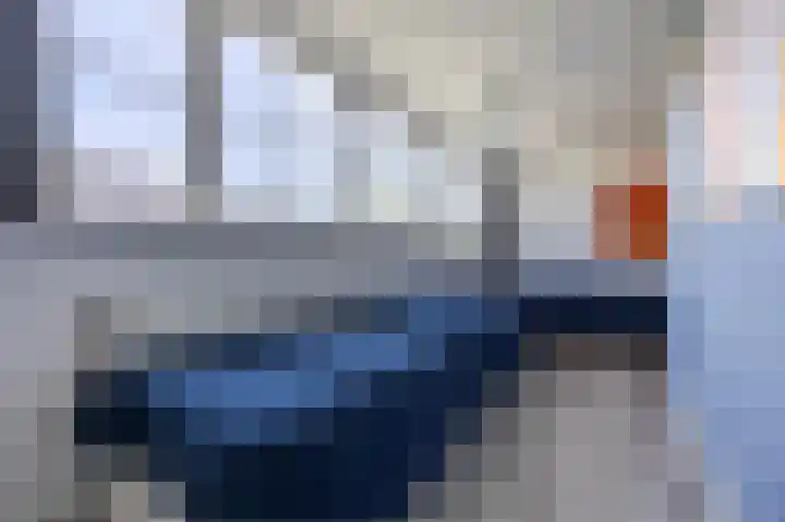 Grevelingenhout 176 Bruinisse thumbnail 24