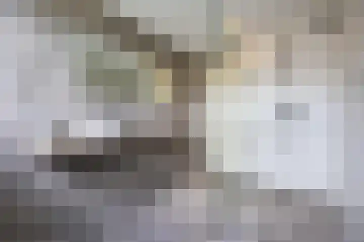 Grevelingenhout 176 Bruinisse thumbnail 27