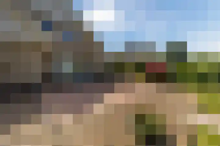 Grevelingenhout 176 Bruinisse thumbnail 32