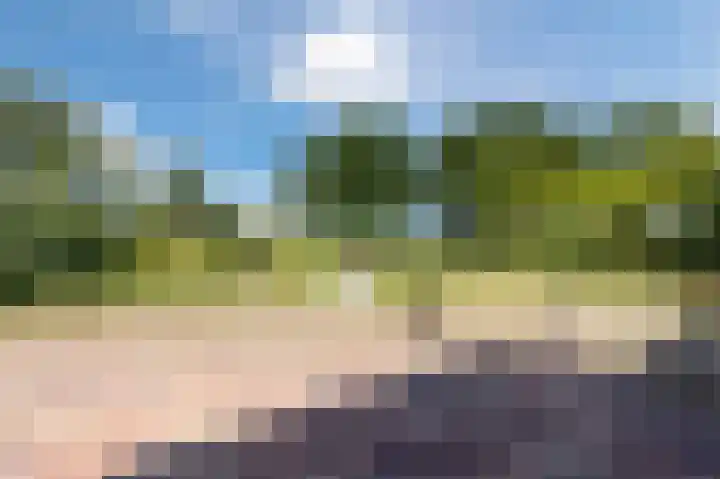 Grevelingenhout 176 Bruinisse thumbnail 33
