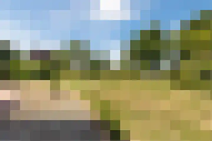 Grevelingenhout 176 Bruinisse thumbnail 34