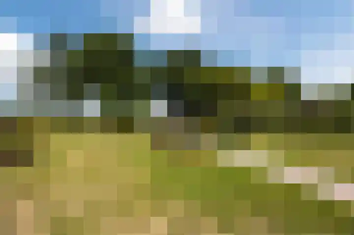 Grevelingenhout 176 Bruinisse thumbnail 35