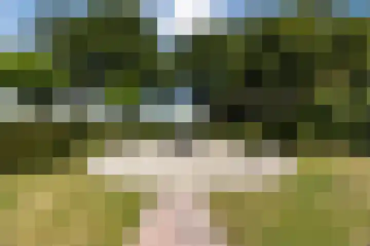 Grevelingenhout 176 Bruinisse thumbnail 36