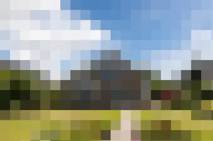 Grevelingenhout 176 Bruinisse thumbnail 37