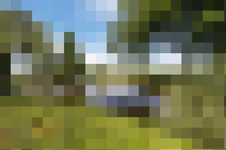 Grevelingenhout 176 Bruinisse thumbnail 38
