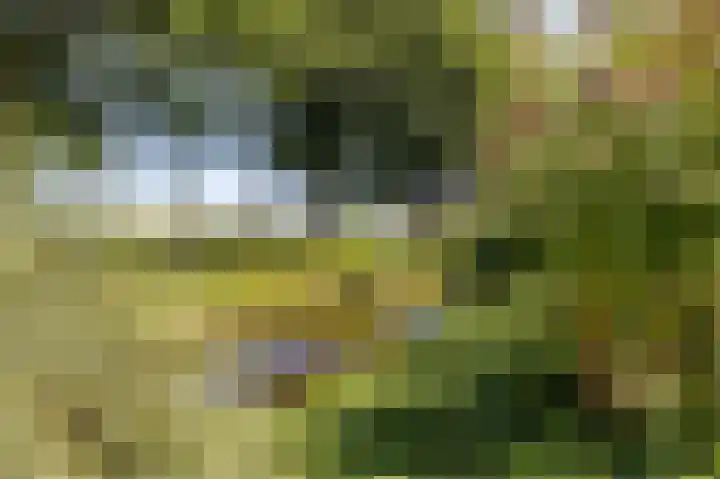 Grevelingenhout 176 Bruinisse thumbnail 39