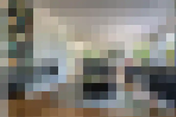 Grevelingenhout 176 Bruinisse thumbnail 4
