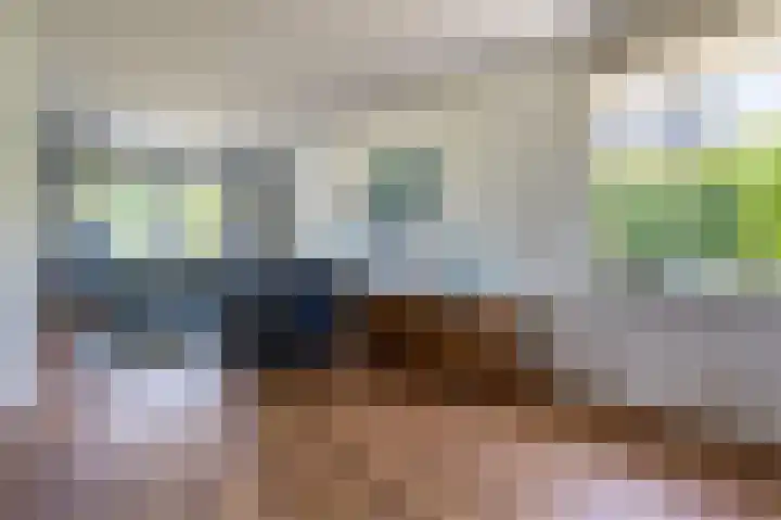 Grevelingenhout 176 Bruinisse thumbnail 7