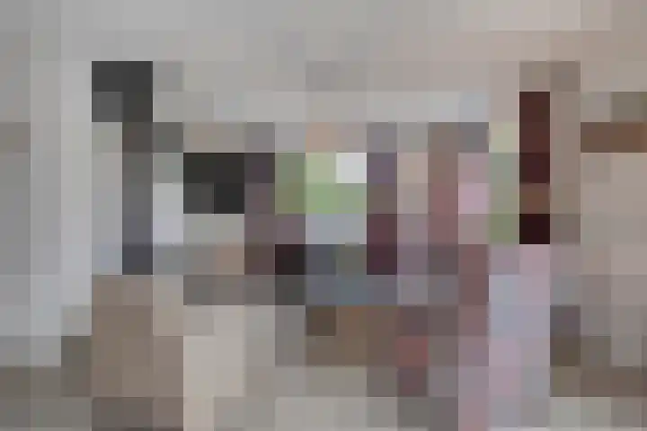 Grevelingenhout 181 Bruinisse thumbnail 12