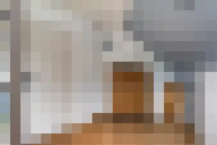 Grevelingenhout 181 Bruinisse thumbnail 28