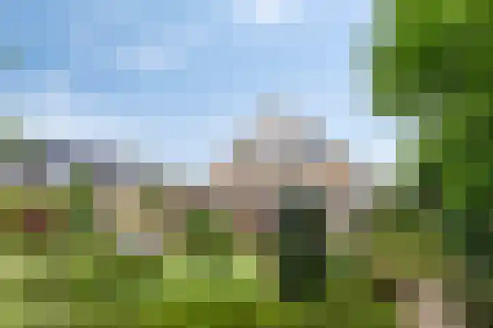 Grevelingenhout 181 Bruinisse thumbnail 33