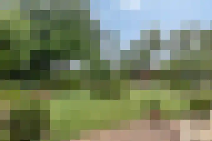 Grevelingenhout 181 Bruinisse thumbnail 34