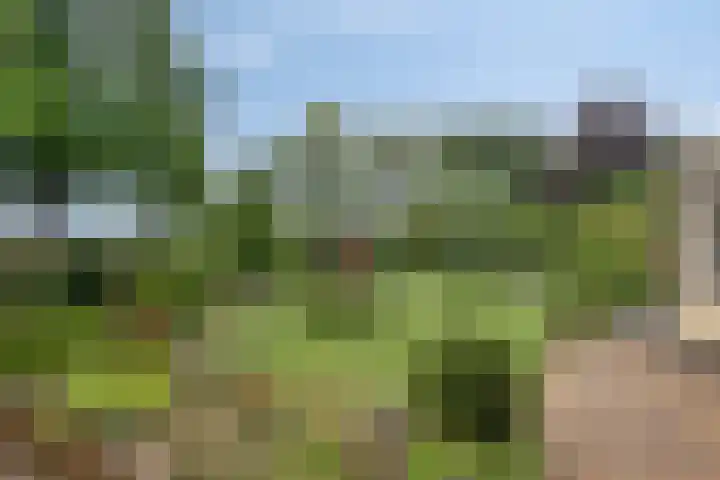 Grevelingenhout 181 Bruinisse thumbnail 35