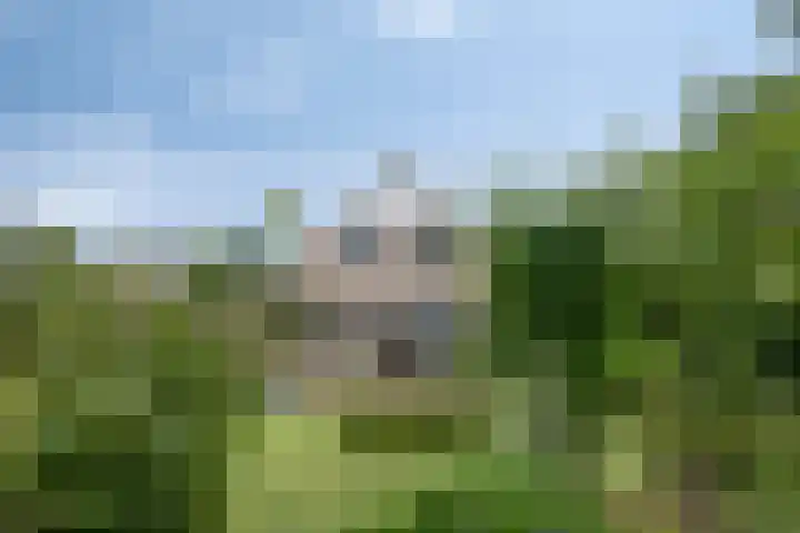 Grevelingenhout 181 Bruinisse thumbnail 36
