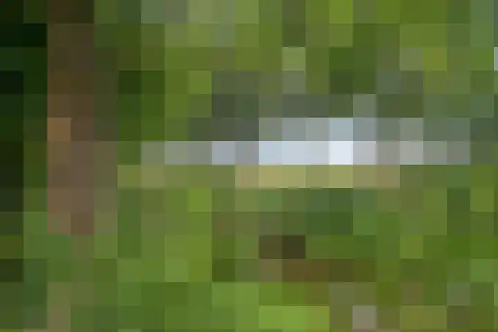 Grevelingenhout 181 Bruinisse thumbnail 38