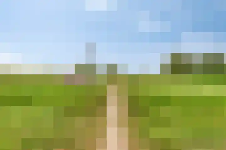 Grevelingenhout 181 Bruinisse thumbnail 39