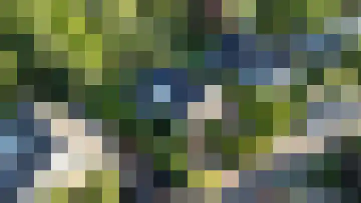 Grevelingenhout 181 Bruinisse thumbnail 43