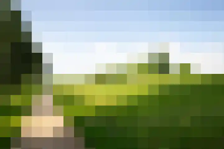 Grevelingenhout 181 Bruinisse thumbnail 50