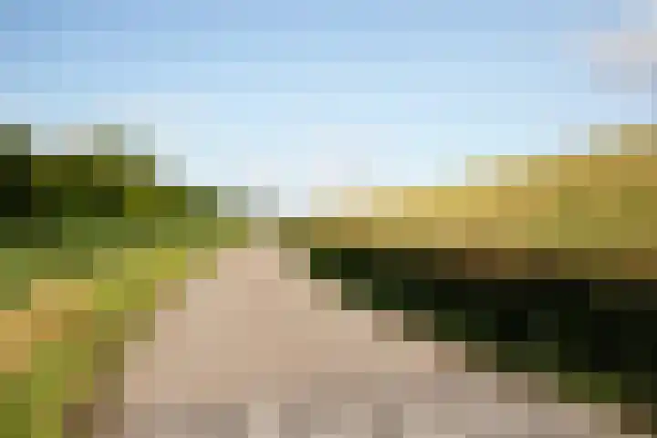 Grevelingenhout 181 Bruinisse thumbnail 51