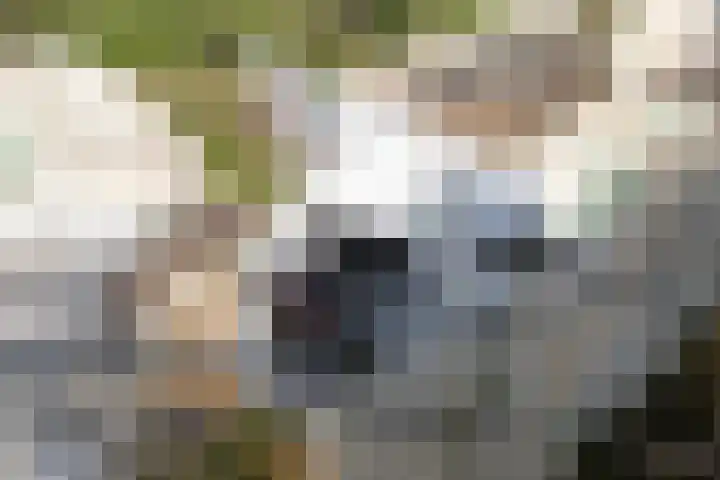Grevelingenhout 181 Bruinisse thumbnail 52