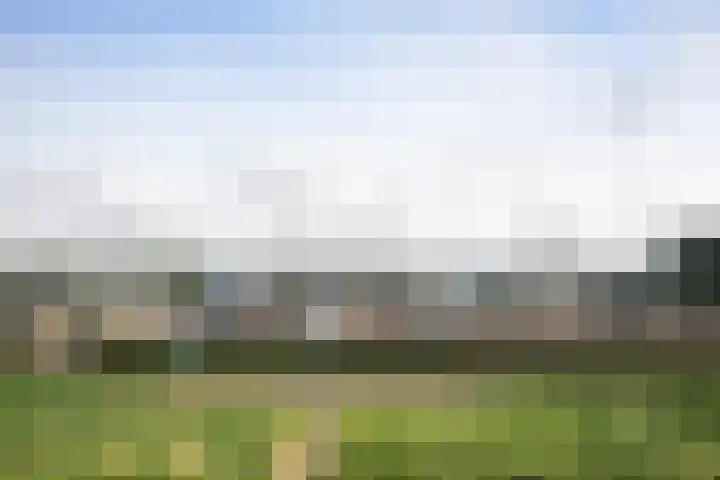 Grevelingenhout 181 Bruinisse thumbnail 54