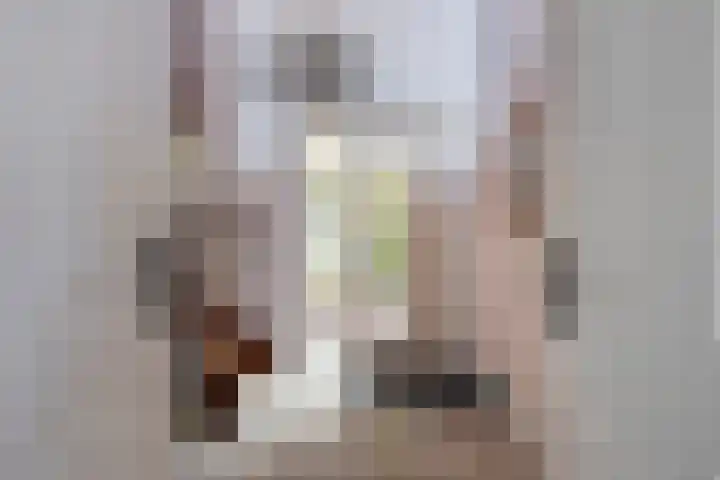 Grevelingenhout 181 Bruinisse thumbnail 7