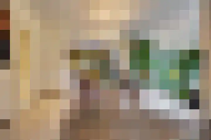 Grevelingenhout 187 Bruinisse thumbnail 12