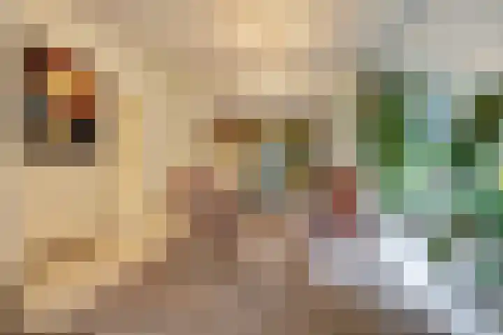 Grevelingenhout 187 Bruinisse thumbnail 13