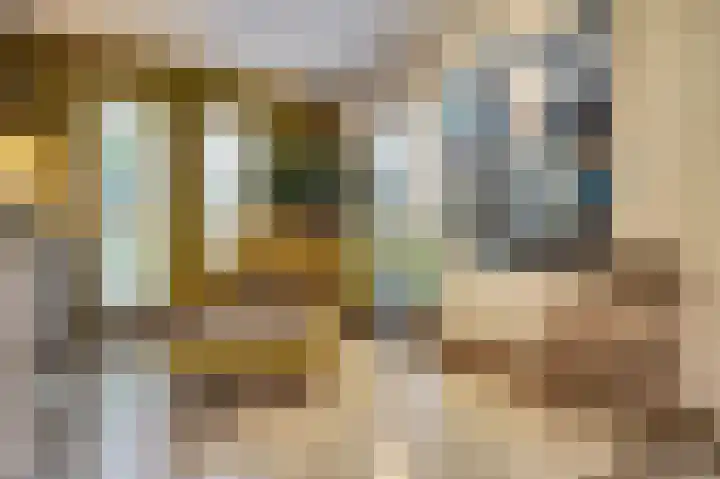 Grevelingenhout 187 Bruinisse thumbnail 14