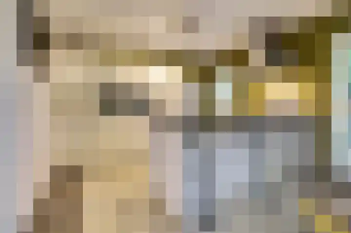 Grevelingenhout 187 Bruinisse thumbnail 17