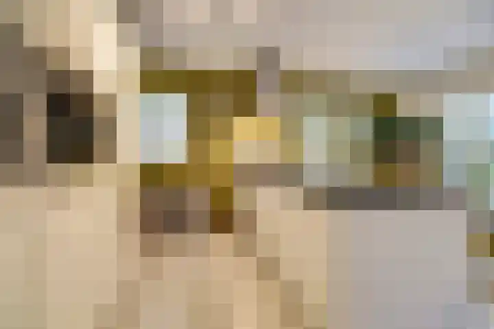 Grevelingenhout 187 Bruinisse thumbnail 18