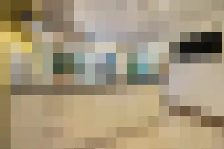 Grevelingenhout 187 Bruinisse thumbnail 19