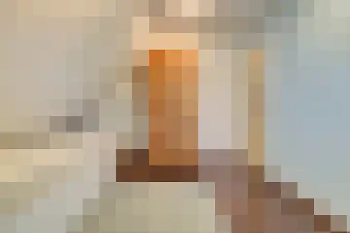 Grevelingenhout 187 Bruinisse thumbnail 30