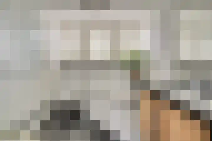 Grevelingenhout 187 Bruinisse thumbnail 34
