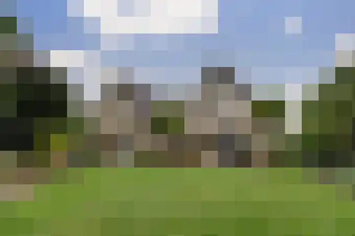 Grevelingenhout 187 Bruinisse thumbnail 44