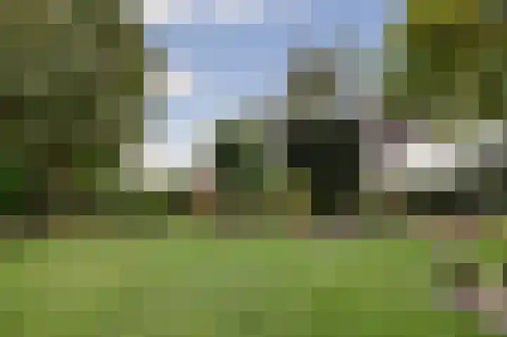 Grevelingenhout 187 Bruinisse thumbnail 45