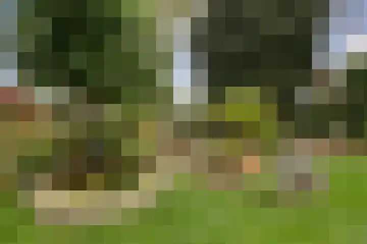 Grevelingenhout 187 Bruinisse thumbnail 47