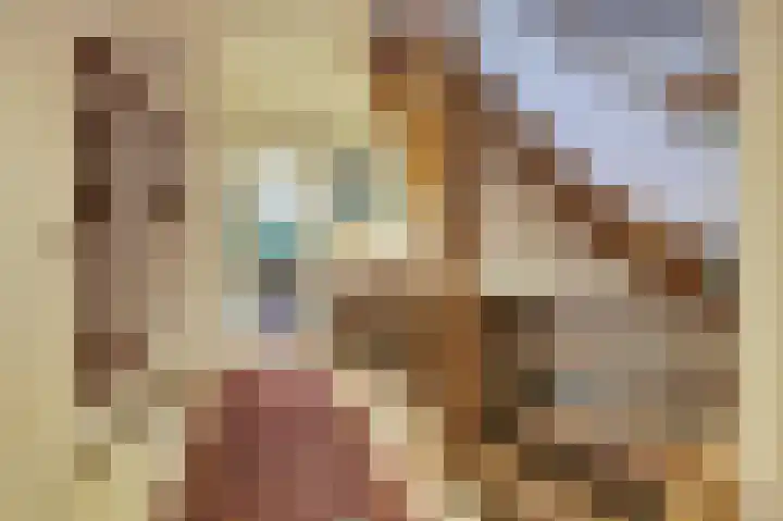 Grevelingenhout 187 Bruinisse thumbnail 5